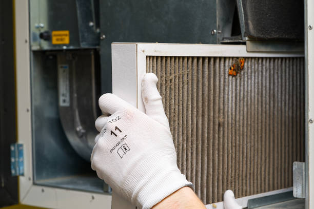 Best Affordable Air Duct Cleaning  in Longview, WA