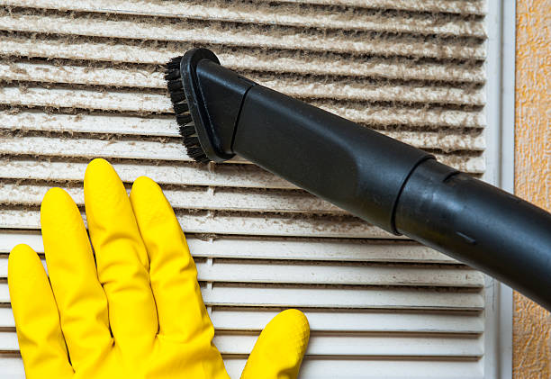 Best Air Duct Mold Removal  in Longview, WA